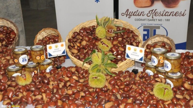 Aydın’da 2025 kestane sezonu açıldı: Kilosu 550 TL!