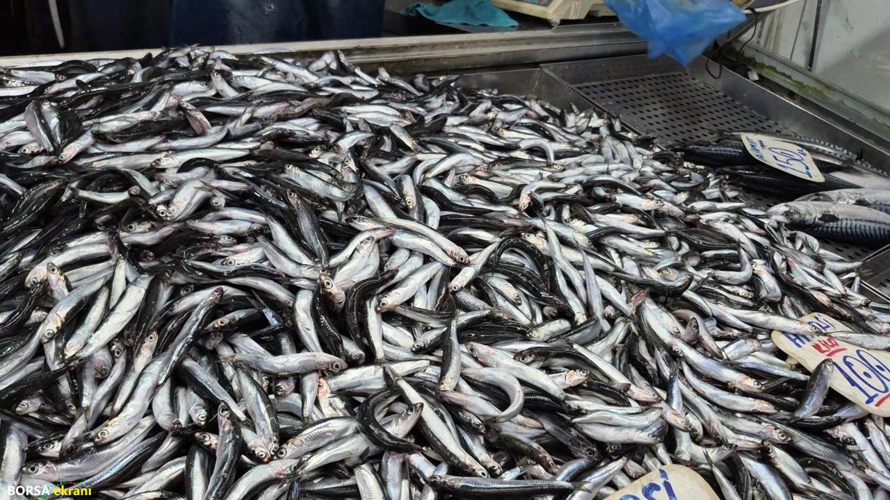 Balıkçı esnafı yanıtladı: Balık fiyatları daha da düşer mi?