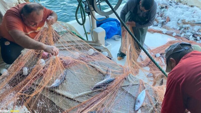 Balıkçının ağına 3 bin palamut takıldı