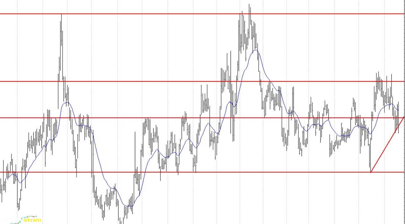 BİM, Ford, Turkcell, Mavi, Türk Telekom: BIST 100 hisselerinin teknik analizi