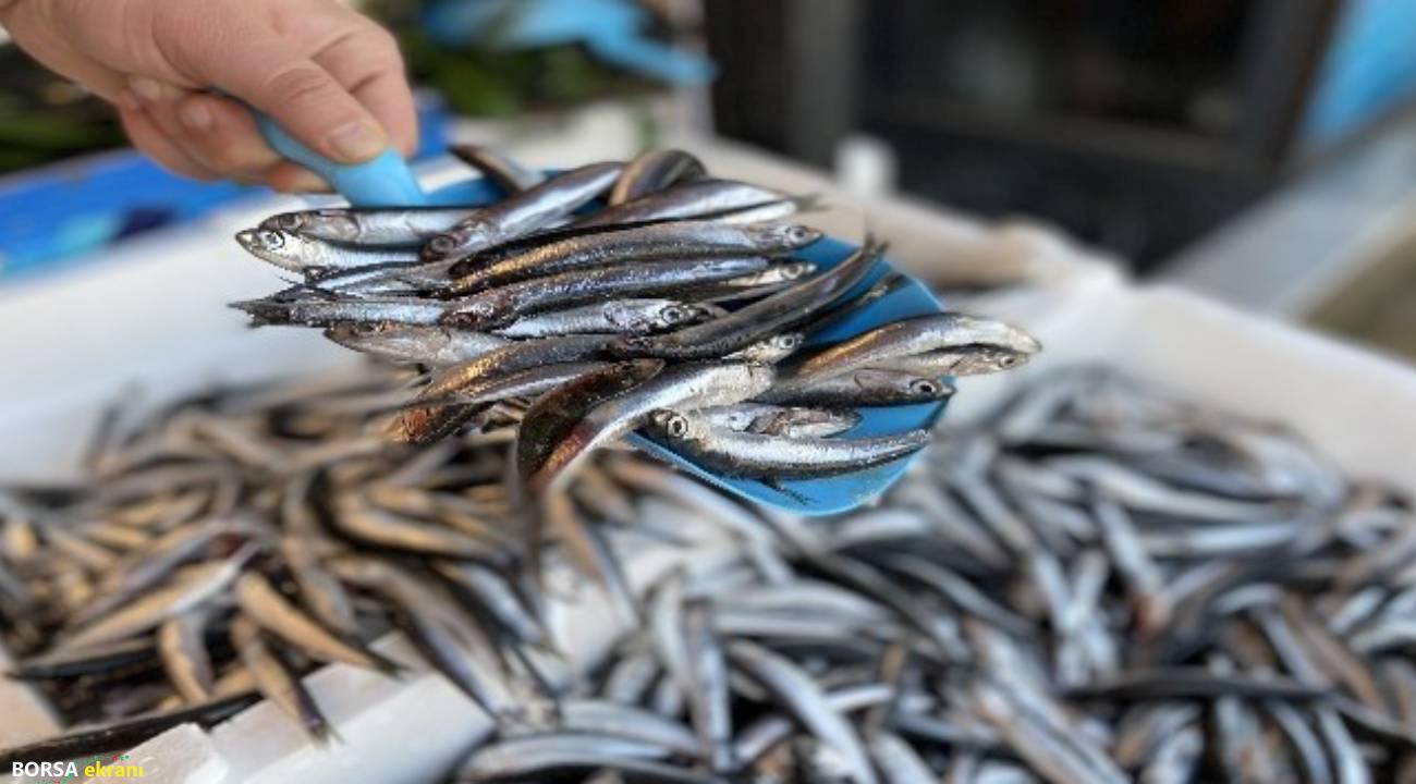 Bir akademisyene göre hamside tehlike çanları çalıyor