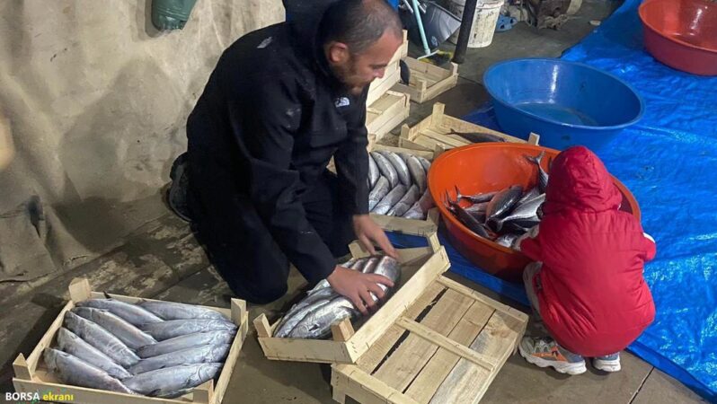 Bir gecede 3 bin 200 palamut avladılar