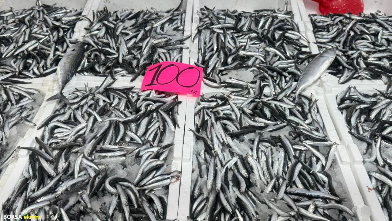 Fiyatı 100 liraya düştü, kapış kapış gidiyor