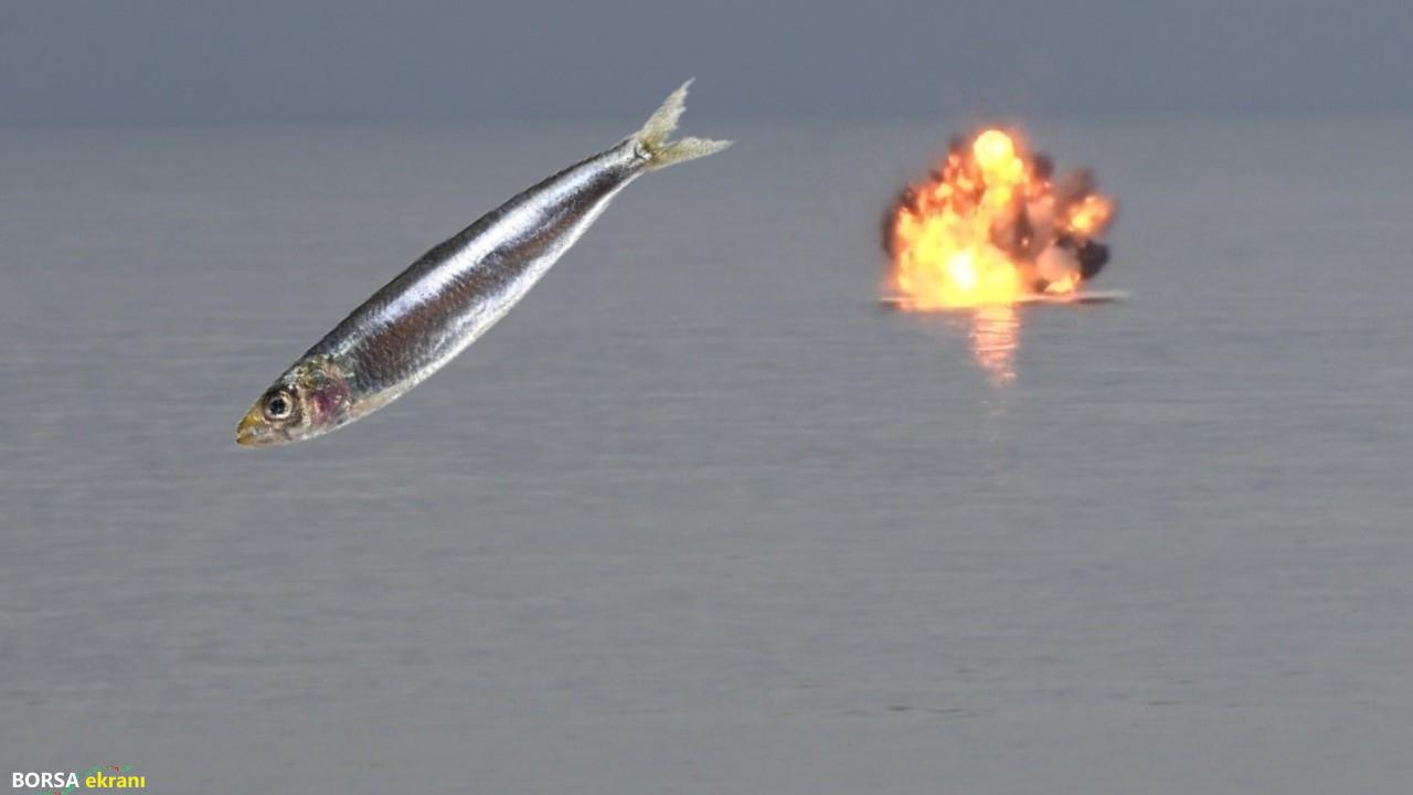 Hamsi niye kaçtı? Dikkat çeken iddia…