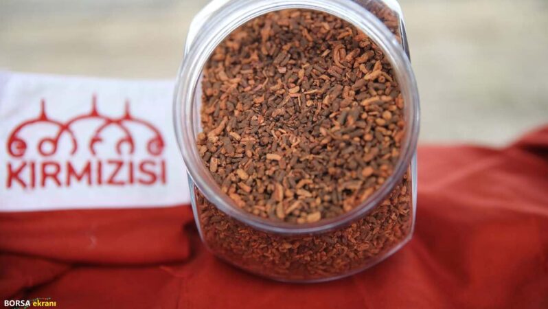 Osmanlı’nın kayıp rengi geri döndü: Çiftçinin yeni gelir kapısı oldu