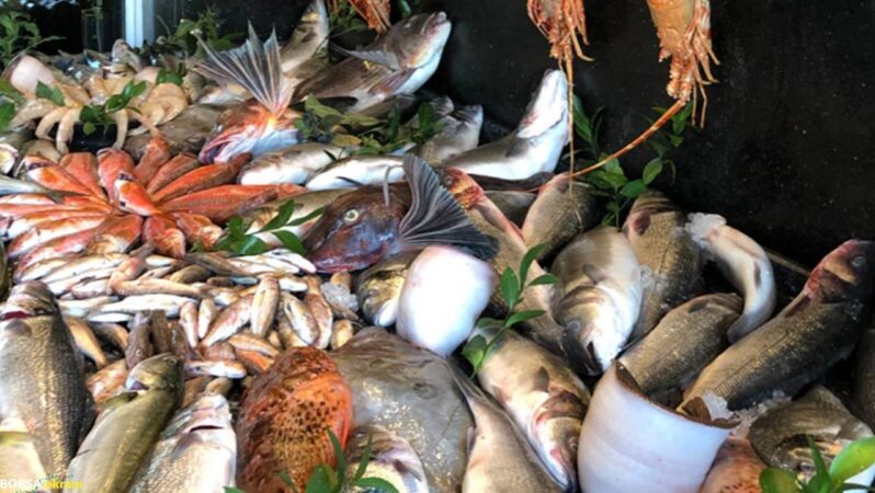 “Restoranlar, maliyetler ve vergiler nedeniyle dünyaya göre pahalı”