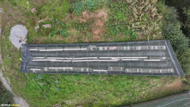 Salyangozlardan üretti, şimdi dünyaya satıyor