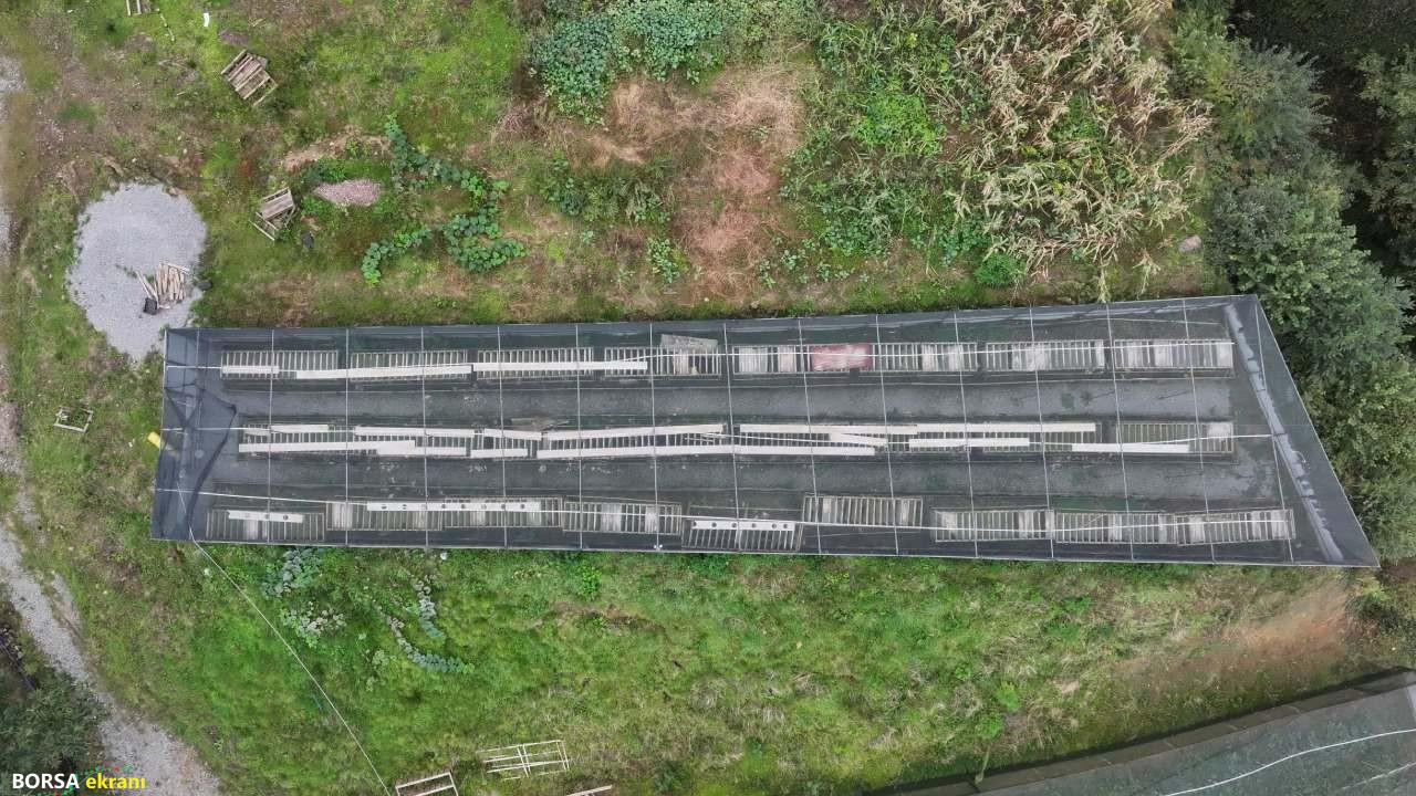 Salyangozlardan üretti, şimdi dünyaya satıyor