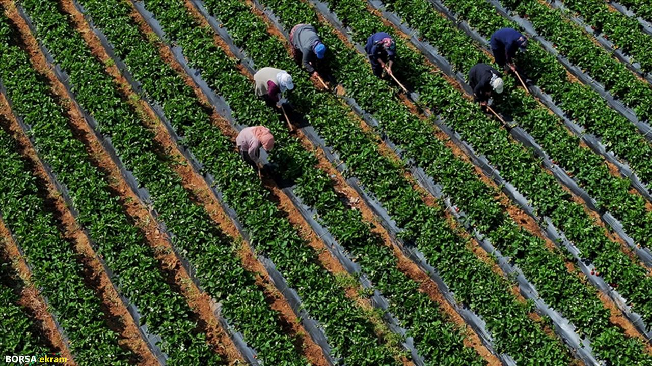 Son Dakika… TÜİK açıkladı: Çiftçinin eylül ayı enflasyonu belli oldu! Meyvede sert artış görüldü