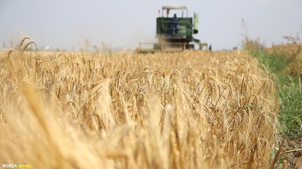 Tarımsal girdide yıllık ve aylık bazda artış