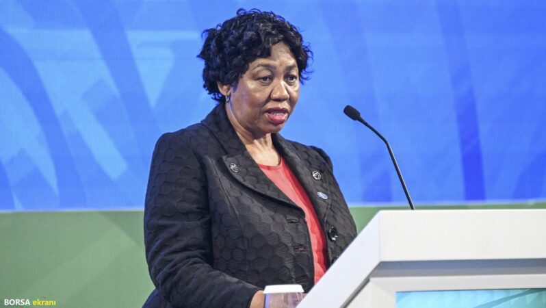 Türkiye-Güney Afrika ilişkileri İstanbul’daki forumda masaya yatırıldı