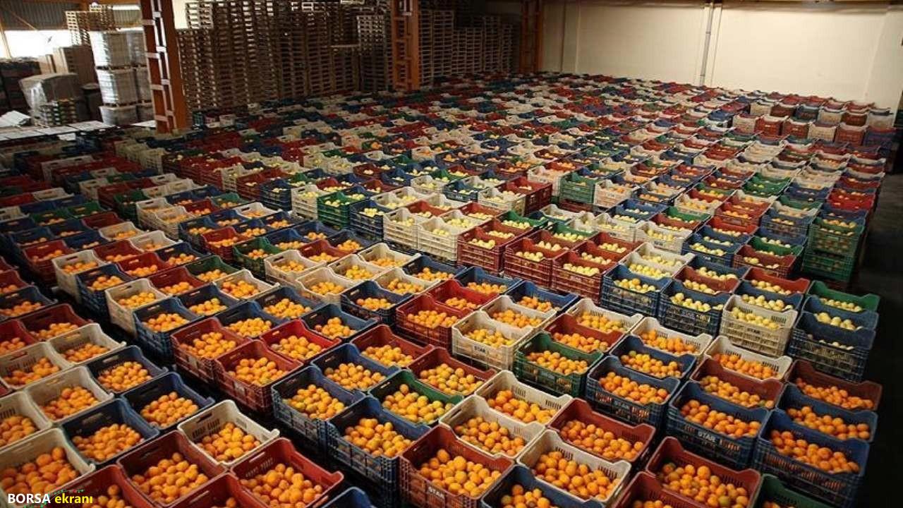 Yaş meyve sebze ve meyve sebze mamullerinde yeni hedef Norveç