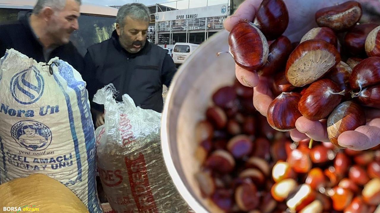 Yüzlerce kilometre uzaktan sırf onun için geliyorlar: Kışın ilaç gibi, kilosu 200 liradan başlıyor