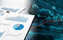 Analiz – Yurt İçi Piyasalar Günlük Bülten / 12.11.2025 (ALB Yatırım Menkul Değerler)