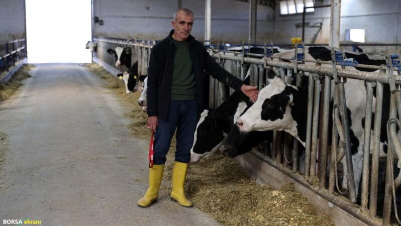 20 inekle başladı, günlük 1 ton süt üretir hale geldi
