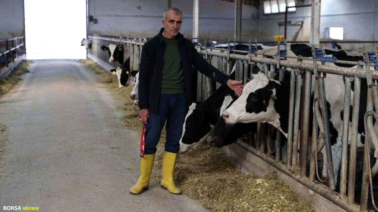 20 inekle başladı, günlük 1 ton süt üretir hale geldi