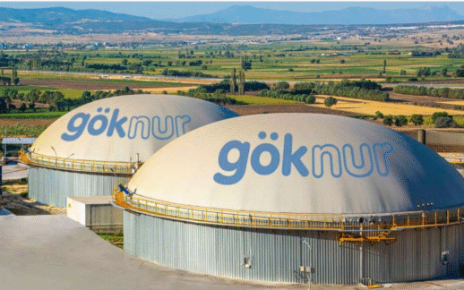 Göknur Gıda’dan Dev Geri Alım Hamlesi