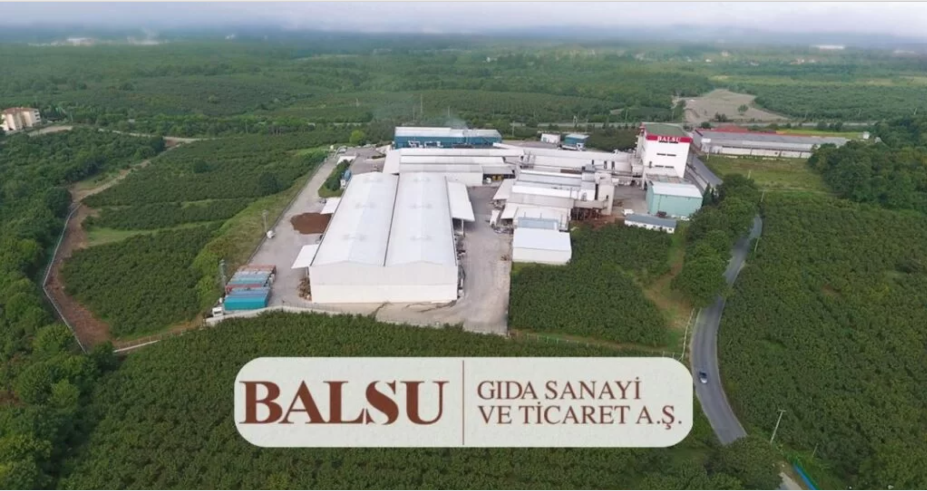 Balsu’dan ABD’de Sağlıklı Hamle