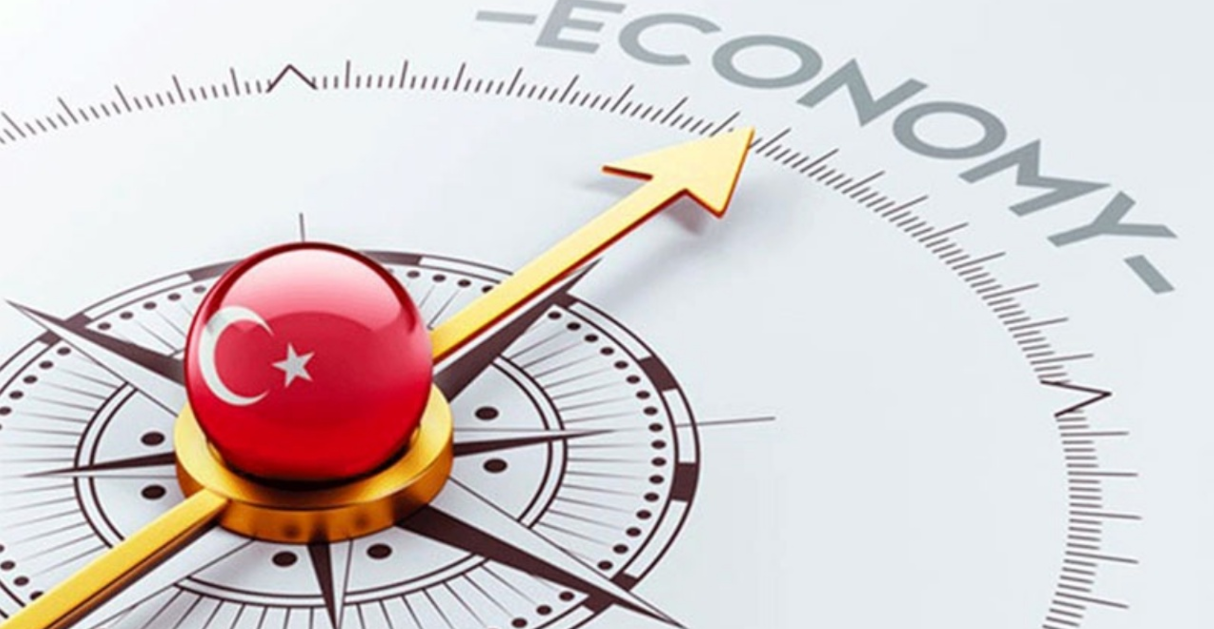 Coface: Türkiye Ekonomisi 2026’ya Temkinli Giriyor