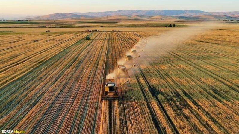 FAO’dan Türkiye’ye 8,1 milyon dolarlık kaynak! Tarımda ezberler bozulacak