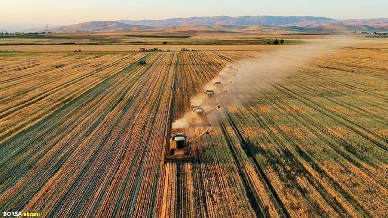 FAO’dan Türkiye’ye 8,1 milyon dolarlık kaynak! Tarımda ezberler bozulacak