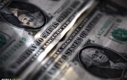 HSBC: “Dolar 2026 başında dip yapabilir, Fed’den yeni indirimler beklenmiyor”