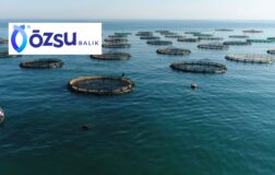 Özsu Balık’ta Kâr Dalgası