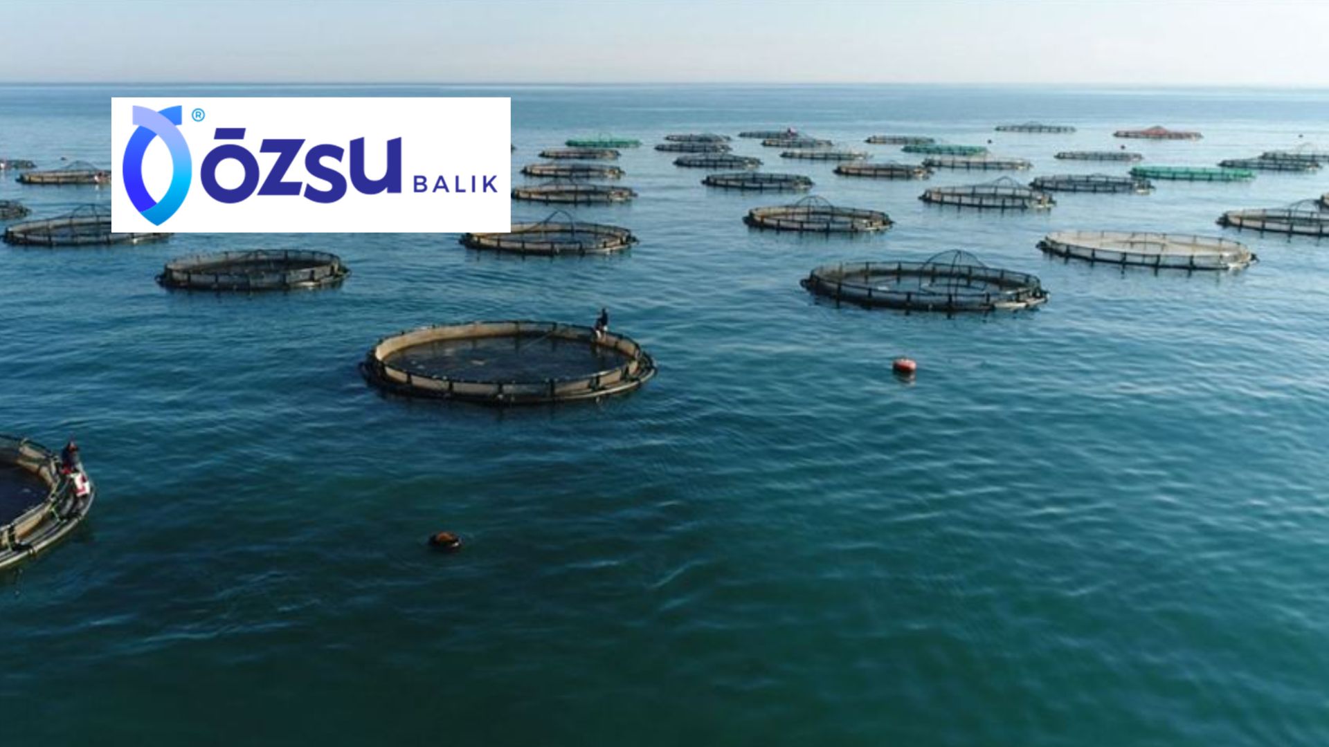 Özsu Balık’ta Kâr Dalgası