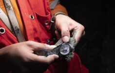 CVK Maden’e 209 Milyon TL Destek