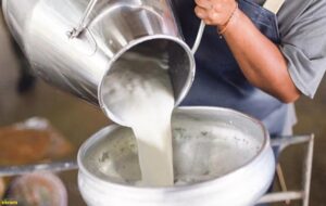 Dünya Gazetesi’nin düzenlediği zirvede konuşan Mehmet Şimşek:  “Program envai çeşit şokla test edildi, raydan çıkmadı”