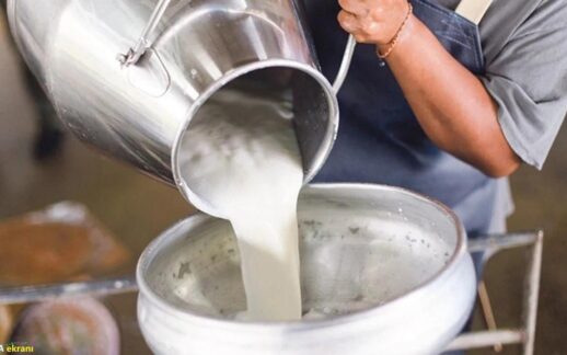 Son dakika: TÜİK açıkladı! Toplanan inek sütü eylülde azaldı