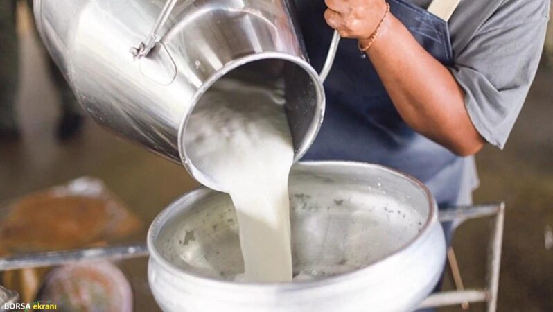 Son dakika: TÜİK açıkladı! Toplanan inek sütü eylülde azaldı