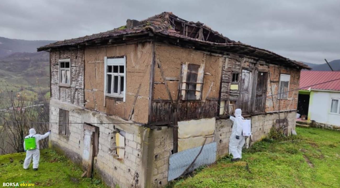 Tarım ve Orman İl Müdürlüğü’nden ‘Kahverengi Kokarca’ çağrısı