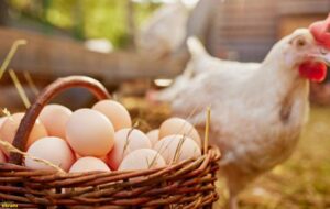 Dünya Gazetesi’nin düzenlediği zirvede konuşan Mehmet Şimşek:  “Program envai çeşit şokla test edildi, raydan çıkmadı”