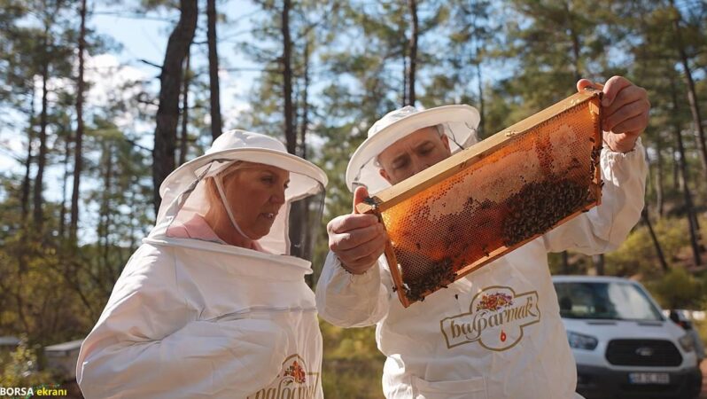 ‘Türk Çam Balı’nda devlet tarafından fonlanmalıyız’