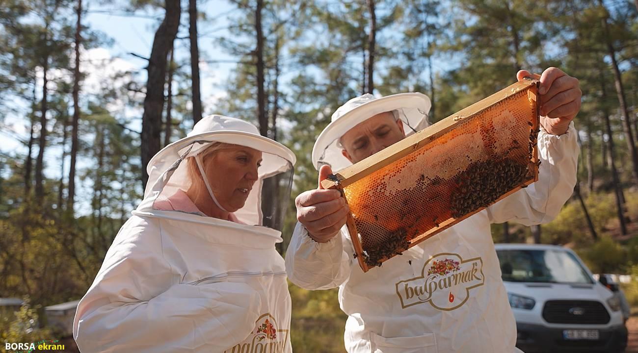‘Türk Çam Balı’nda devlet tarafından fonlanmalıyız’