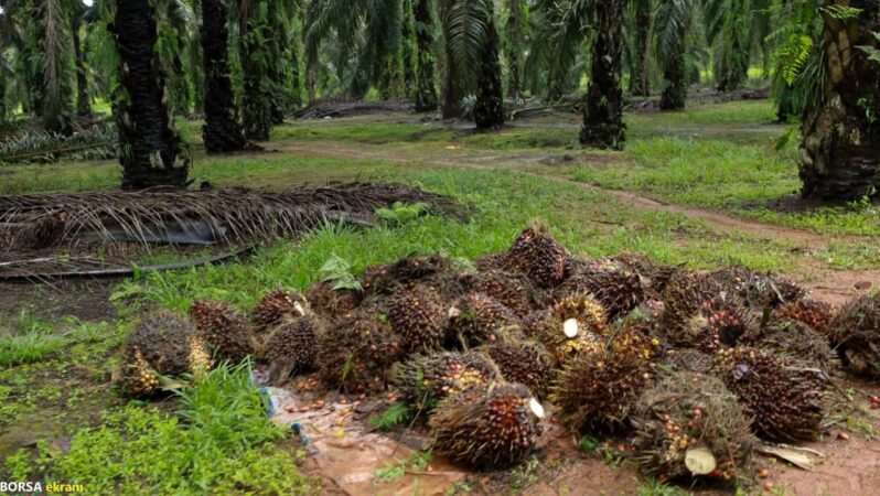 Türkiye-Malezya ticaret hattı büyüyor