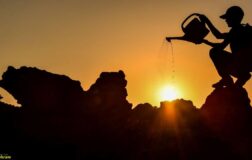 Yeni araştırma: Birçok sağlık sorununun nedeni bu olabilir