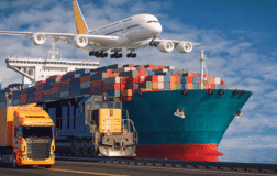 DCTTR’de Patron Alımı