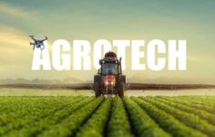 AGROT’ta Pay İşlemi