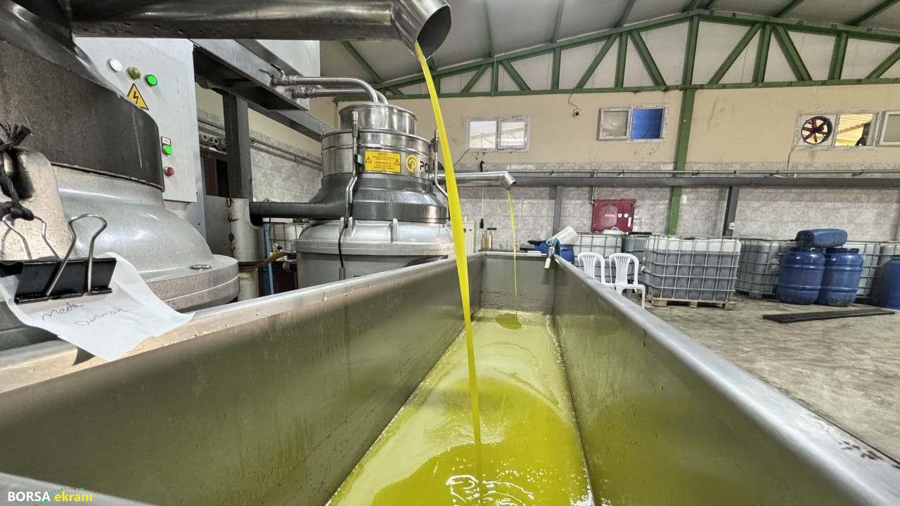 Devlet desteği ile zeytinyağı fabrikası kuran muhtar mahalleyi iş sahibi yaptı