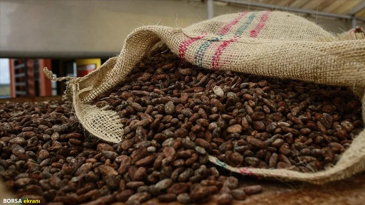 Kakao Piyasasında Ters Rüzgar; Fiyatlar Yıl Sonu Talebi Öncesi Düştü!