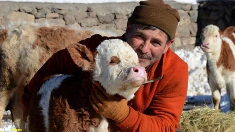 Kars’ta besiciler sıfırın altında 10 derecede zorlu mesai yapıyor