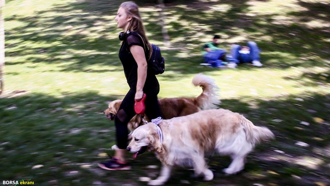 TÜİK duyurdu: Kasımda fiyatı en çok artan ürün belli oldu!