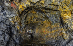 TRALT’den 50 Milyon Dolarlık Altın Hamlesi