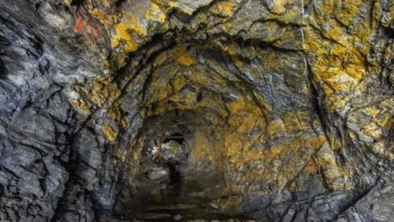 TRALT’den 50 Milyon Dolarlık Altın Hamlesi