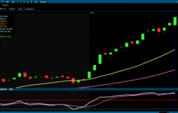 BIST 100 Rekorla Kapandı