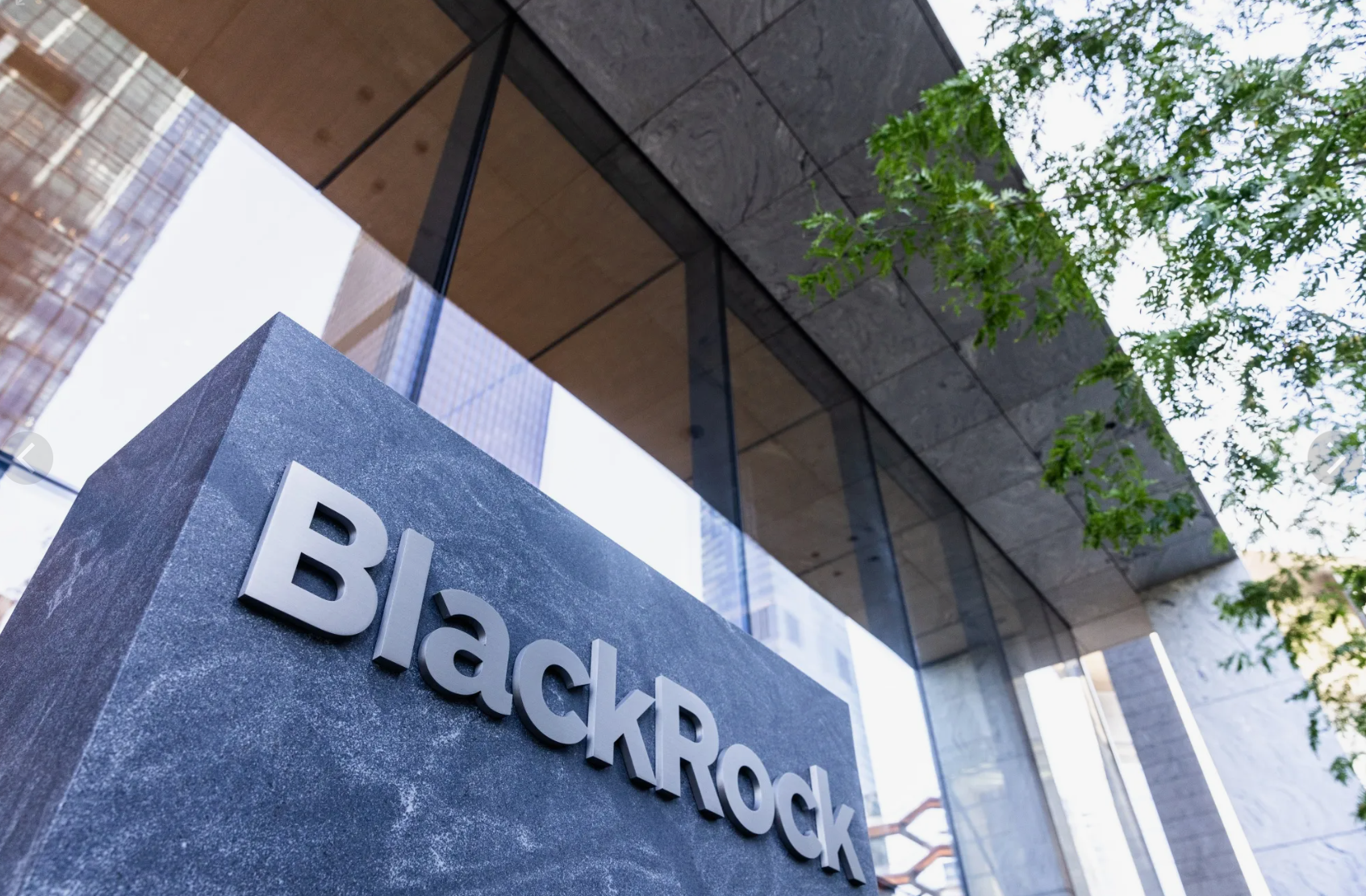 Dünya’nın BlackRock’ın Borsa İstanbul Tercihleri Belli Oldu: ASELSAN İlk Sırada