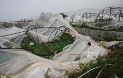 Bakan Yumaklı’dan hortumun vurduğu Antalyalı üreticiye mesaj