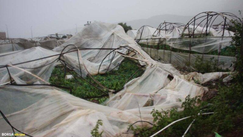 Bakan Yumaklı’dan hortumun vurduğu Antalyalı üreticiye mesaj